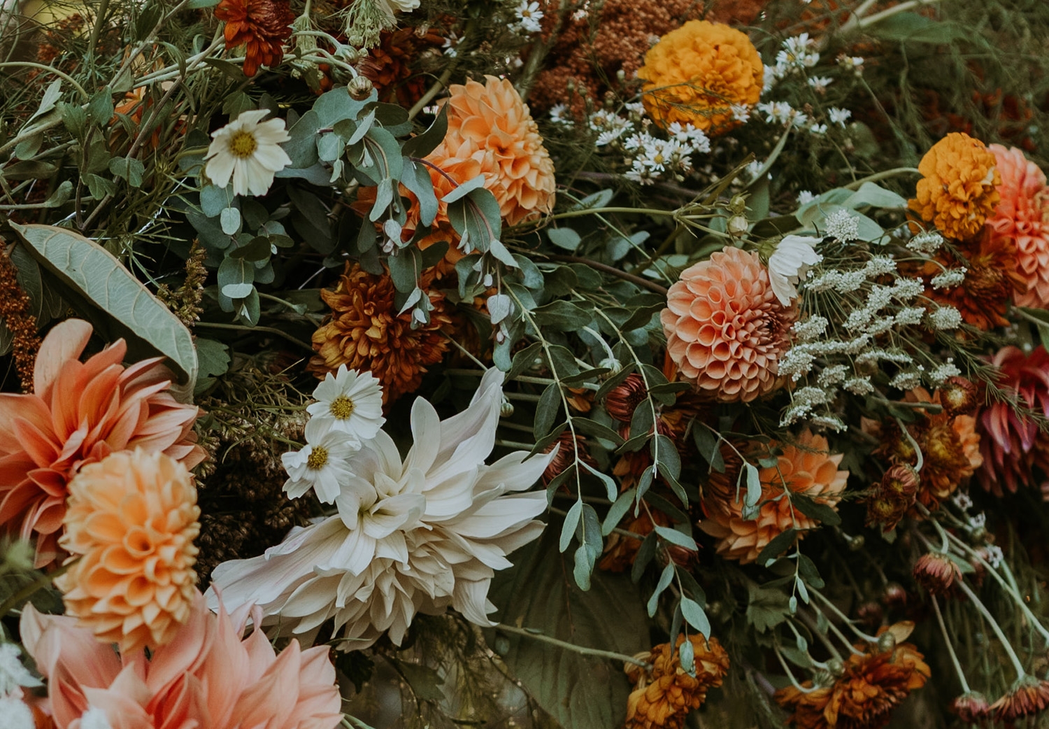 Lauren & Barron – Sea Change Farm and Flower