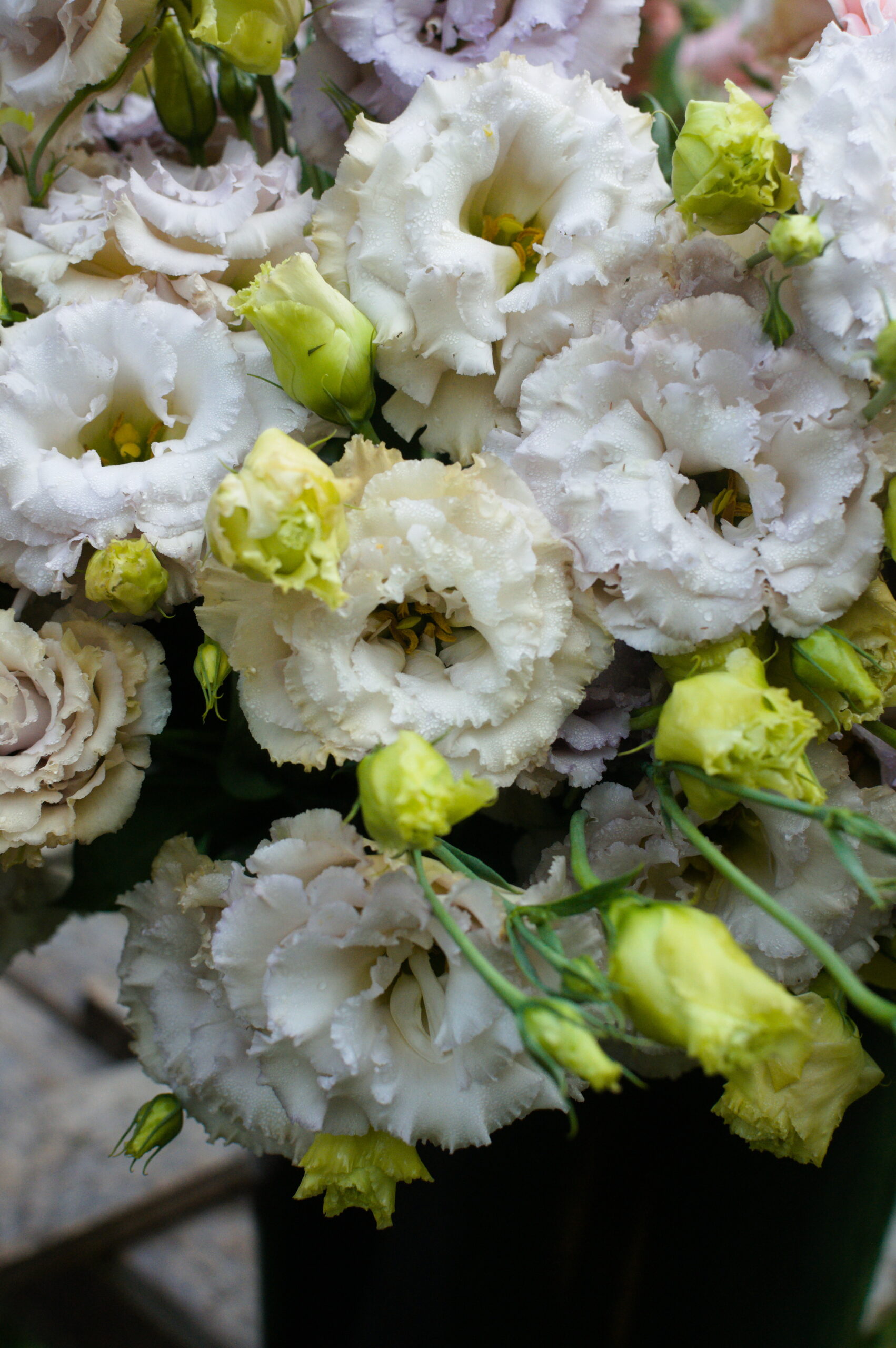 Sea Change Farm & Flower